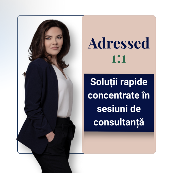 O ședință de consultanță Adresed 1:1